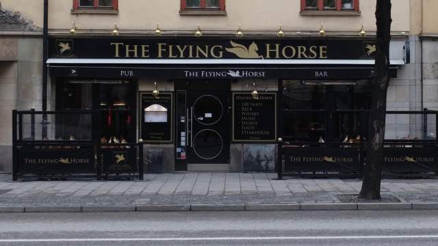 Image of The Flying Horse